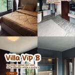 VIP B